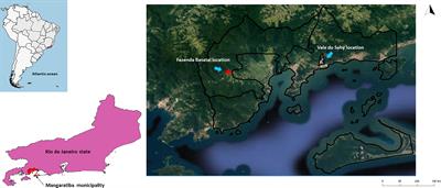 Trypanosoma Species in Small Nonflying Mammals in an Area With a Single Previous Chagas Disease Case